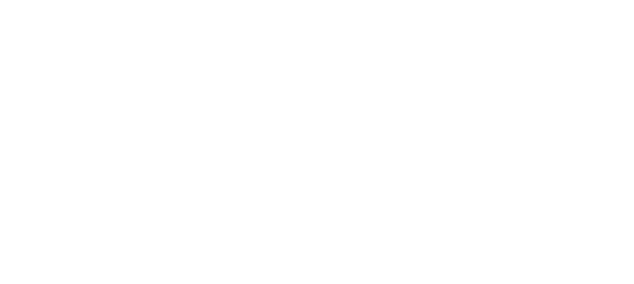 HIGH EXECUTIVE ACADEMY